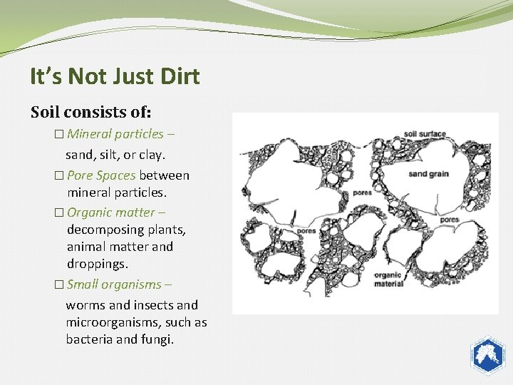 It’s Not Just Dirt Soil consists of: � Mineral particles – sand, silt, or