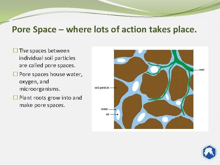 Pore Space – where lots of action takes place. � The spaces between individual