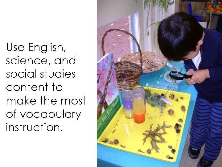 Use English, science, and social studies content to make the most of vocabulary instruction.