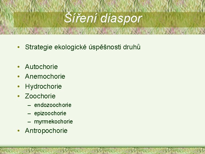 Šíření diaspor • Strategie ekologické úspěšnosti druhů • • Autochorie Anemochorie Hydrochorie Zoochorie –