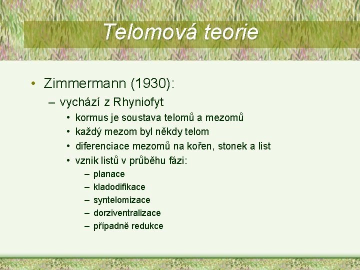 Telomová teorie • Zimmermann (1930): – vychází z Rhyniofyt • • kormus je soustava