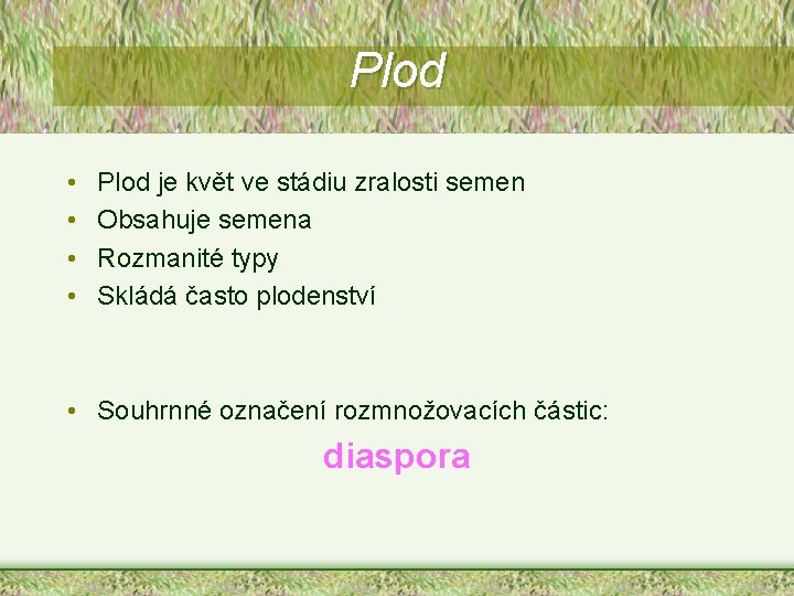 Plod • • Plod je květ ve stádiu zralosti semen Obsahuje semena Rozmanité typy