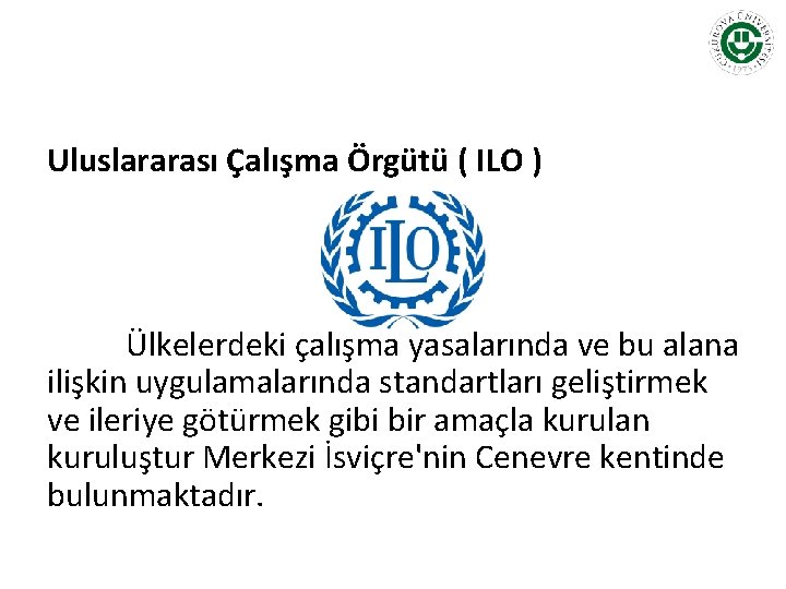 Uluslararası Çalışma Örgütü ( ILO ) Ülkelerdeki çalışma yasalarında ve bu alana ilişkin uygulamalarında