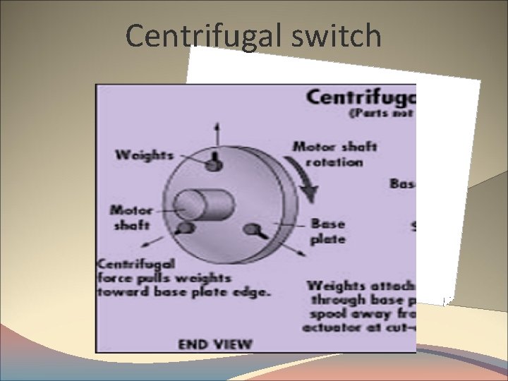 Centrifugal switch 