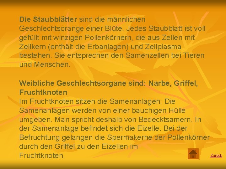 Die Staubblätter sind die männlichen Geschlechtsorange einer Blüte. Jedes Staubblatt ist voll gefüllt mit
