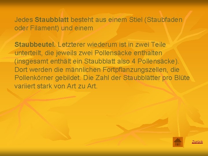 Jedes Staubblatt besteht aus einem Stiel (Staubfaden oder Filament) und einem Staubbeutel. Letzterer wiederum