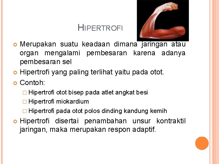 HIPERTROFI Merupakan suatu keadaan dimana jaringan atau organ mengalami pembesaran karena adanya pembesaran sel