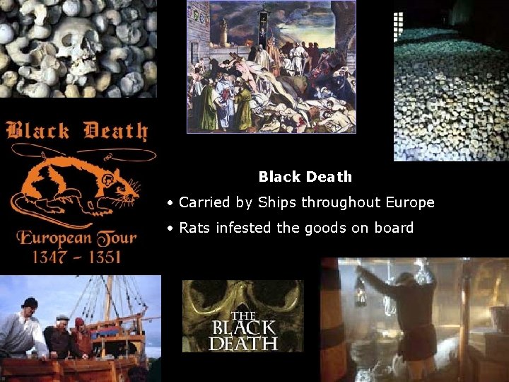 Black Death • Carried by Ships throughout Europe • Rats infested the goods on