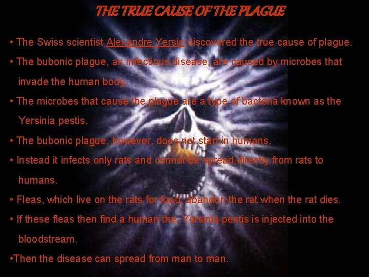 THE TRUE CAUSE OF THE PLAGUE • The Swiss scientist Alexandre Yersin discovered the