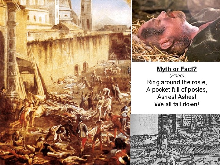 Myth or Fact? (Song) Ring around the rosie, A pocket full of posies, Ashes!
