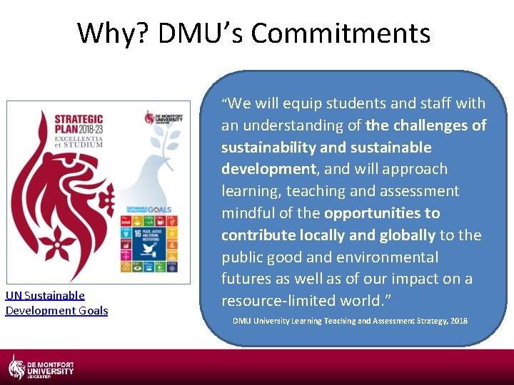 Why? DMU’s Commitments “We will equip students and staff with UN Sustainable Development Goals
