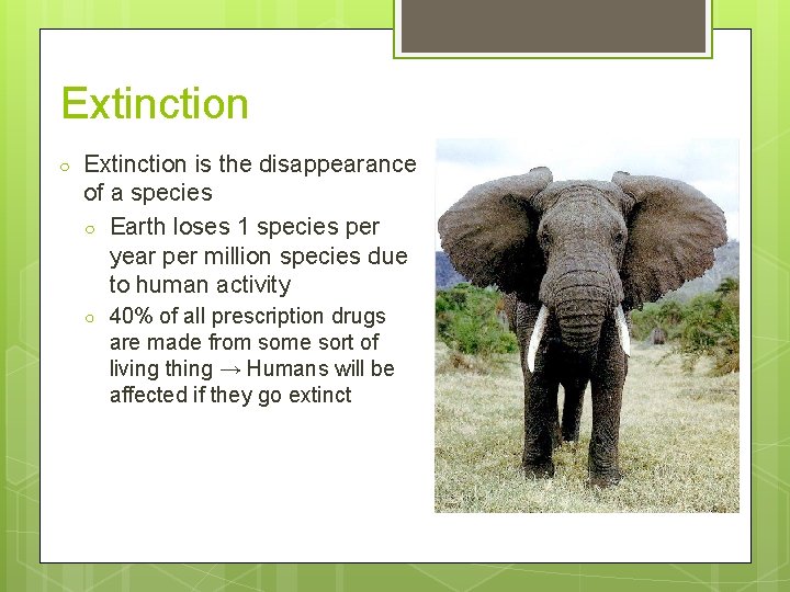 Extinction ○ Extinction is the disappearance of a species ○ Earth loses 1 species