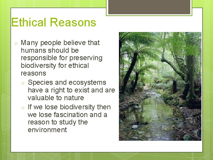 Ethical Reasons ○ Many people believe that humans should be responsible for preserving biodiversity