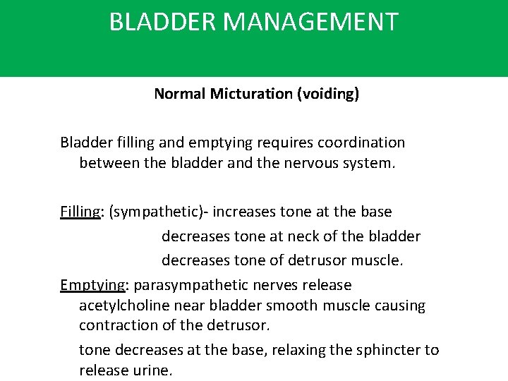 BLADDER MANAGEMENT Normal Micturation (voiding) Bladder filling and emptying requires coordination between the bladder