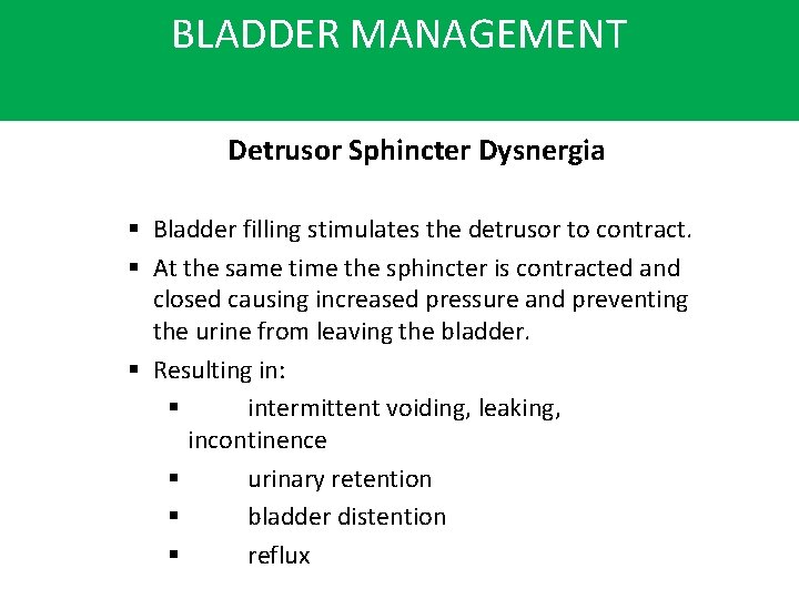 BLADDER MANAGEMENT Detrusor Sphincter Dysnergia § Bladder filling stimulates the detrusor to contract. §