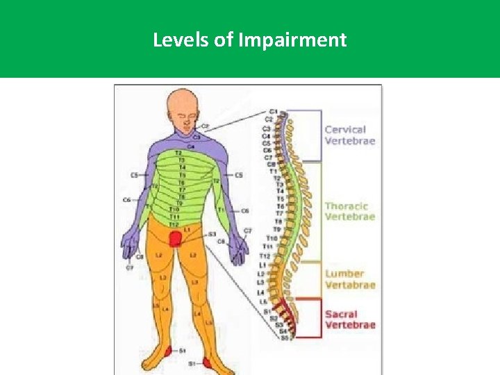 Levels of Impairment 