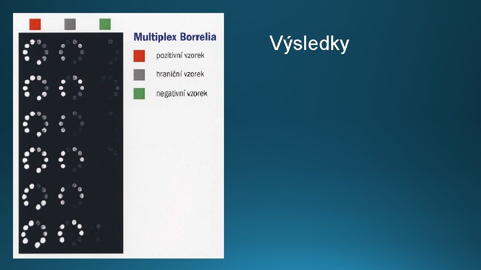 Výsledky 