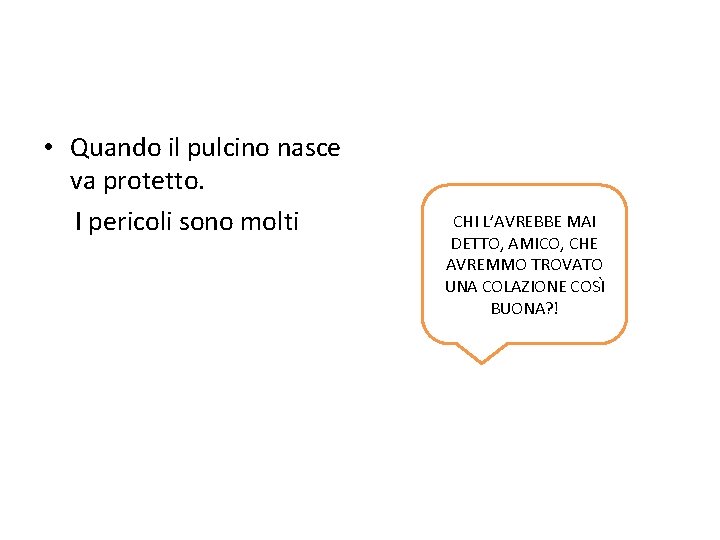  • Quando il pulcino nasce va protetto. I pericoli sono molti CHI L’AVREBBE