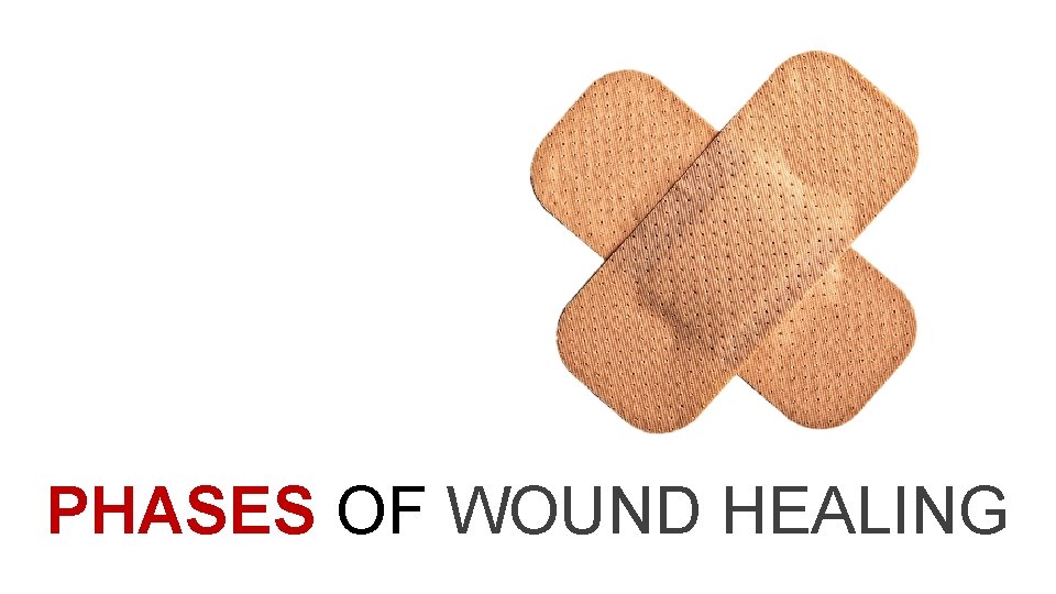 PHASES OF WOUND HEALING 