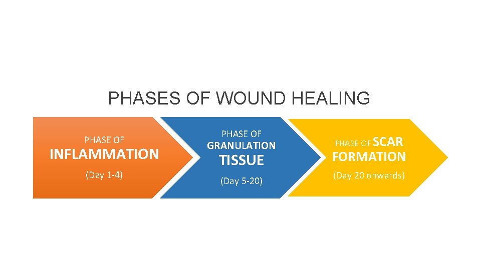 PHASES OF WOUND HEALING PHASE OF INFLAMMATION (Day 1 -4) PHASE OF GRANULATION TISSUE