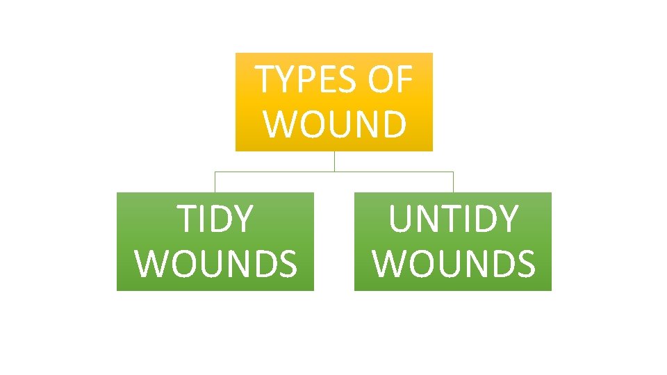 TYPES OF WOUND TIDY WOUNDS UNTIDY WOUNDS 