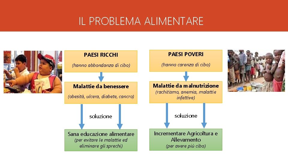 IL PROBLEMA ALIMENTARE PAESI RICCHI PAESI POVERI (hanno abbondanza di cibo) (hanno carenza di
