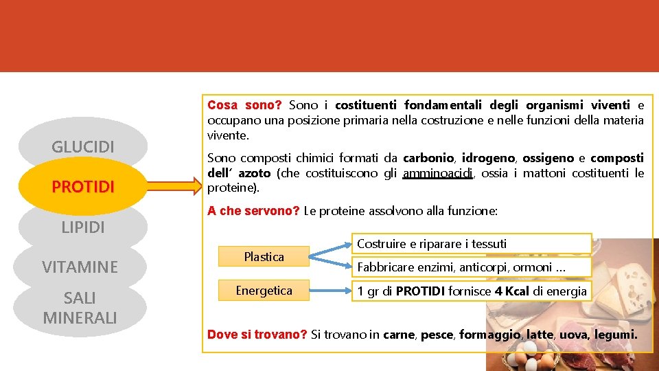 GLUCIDI PROTIDI LIPIDI VITAMINE SALI MINERALI Cosa sono? Sono i costituenti fondamentali degli organismi
