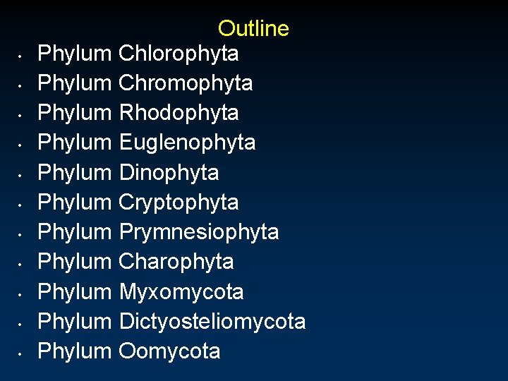  • • • Outline Phylum Chlorophyta Phylum Chromophyta Phylum Rhodophyta Phylum Euglenophyta Phylum