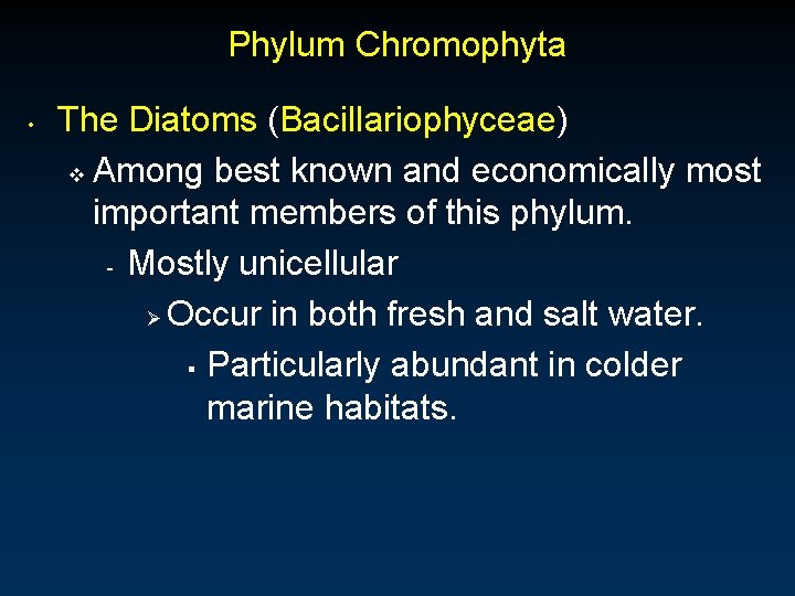 Phylum Chromophyta • The Diatoms (Bacillariophyceae) v Among best known and economically most important