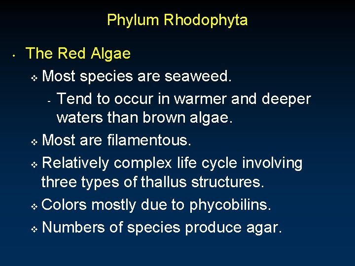 Phylum Rhodophyta • The Red Algae v Most species are seaweed. - Tend to