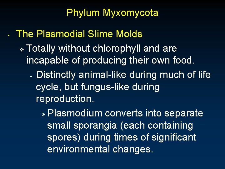 Phylum Myxomycota • The Plasmodial Slime Molds v Totally without chlorophyll and are incapable