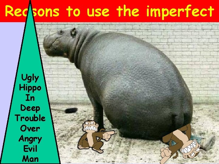 Reasons to use the imperfect Uncertain beginning and/or end Habitual Indefinite expression Ugly Hippo