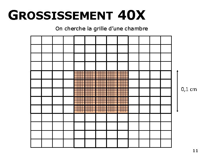 GROSSISSEMENT 40 X On cherche la grille d’une chambre 0, 1 cm 11 