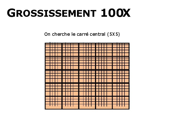 GROSSISSEMENT 100 X On cherche le carré central (5 X 5) 