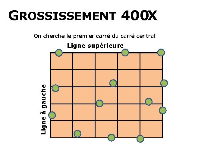 GROSSISSEMENT 400 X On cherche le premier carré du carré central Ligne à gauche