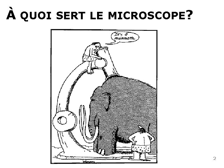À QUOI SERT LE MICROSCOPE? 2 