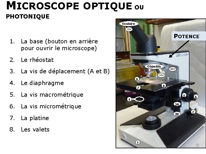 MICROSCOPE OPTIQUE OU PHOTONIQUE Oculaire 10 X POTENCE 1. La base (bouton en arrière