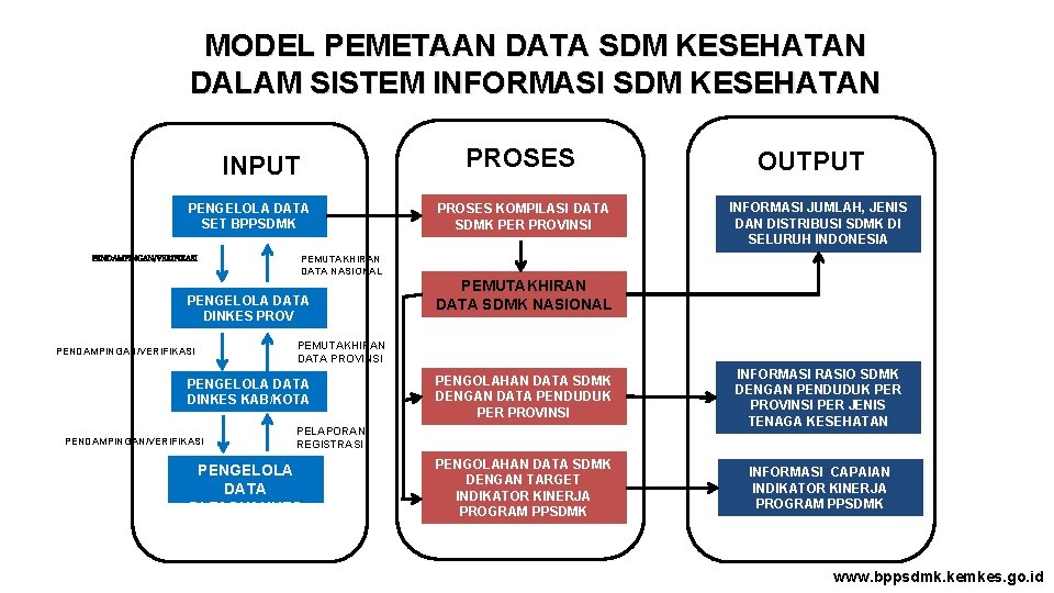 MODEL PEMETAAN DATA SDM KESEHATAN DALAM SISTEM INFORMASI SDM KESEHATAN INPUT PENGELOLA DATA SET