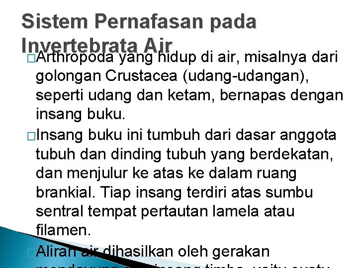 Sistem Pernafasan pada Invertebrata Air �Arthropoda yang hidup di air, misalnya dari golongan Crustacea