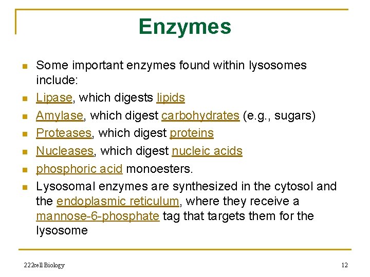 Enzymes n n n n Some important enzymes found within lysosomes include: Lipase, which