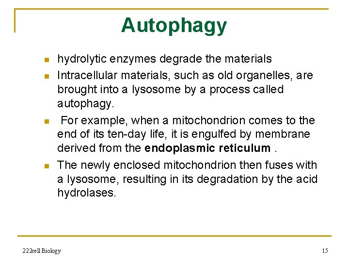 Autophagy n n hydrolytic enzymes degrade the materials Intracellular materials, such as old organelles,