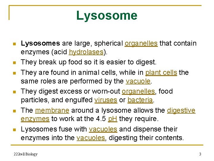 Lysosome n n n Lysosomes are large, spherical organelles that contain enzymes (acid hydrolases).