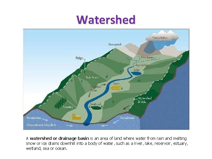 Watershed A watershed or drainage basin is an area of land where water from
