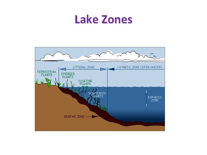 Lake Zones 