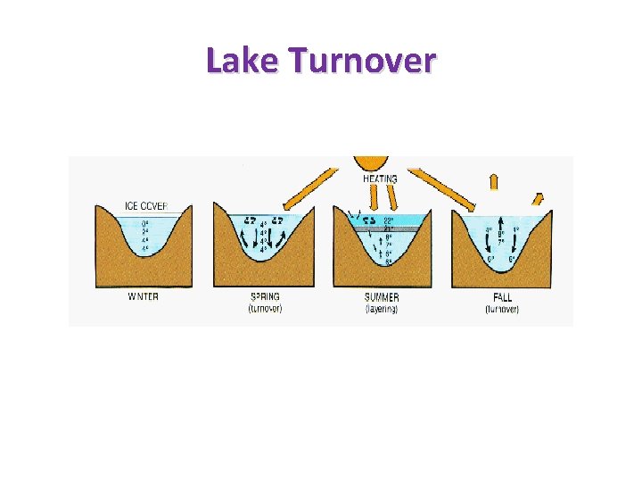 Lake Turnover 