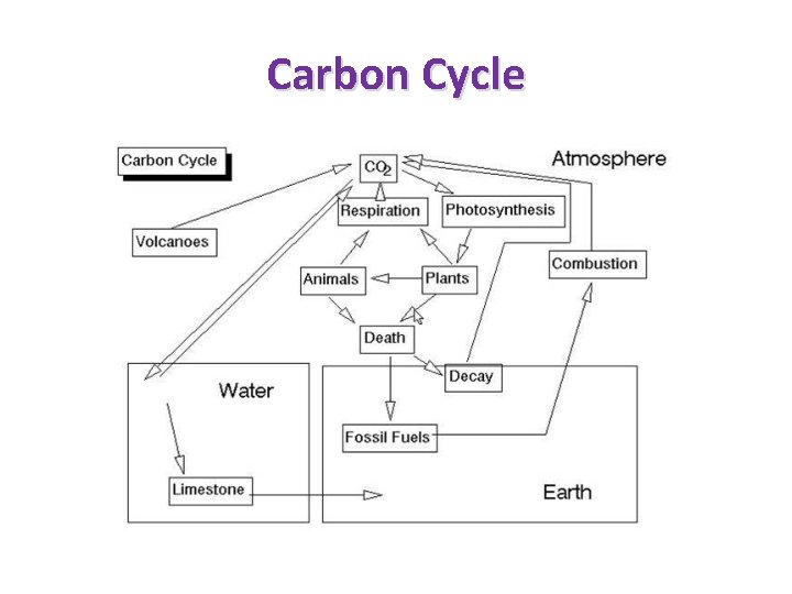 Carbon Cycle 