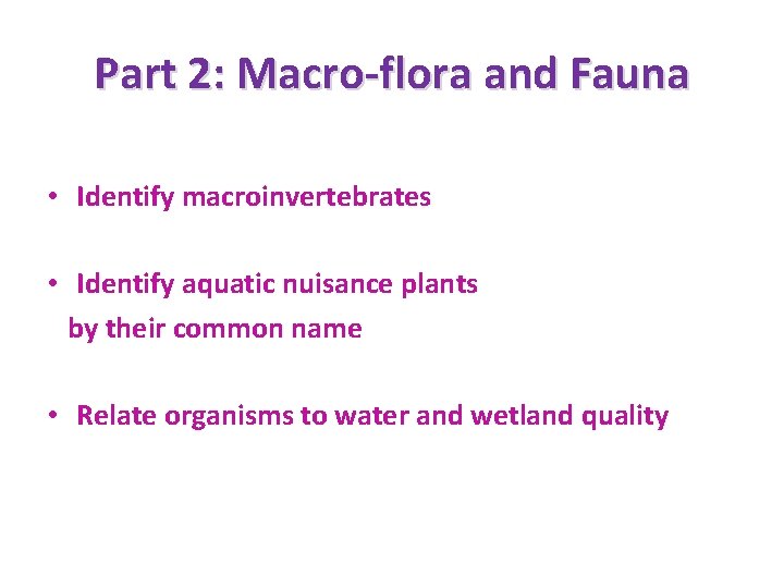 Part 2: Macro-flora and Fauna • Identify macroinvertebrates • Identify aquatic nuisance plants by