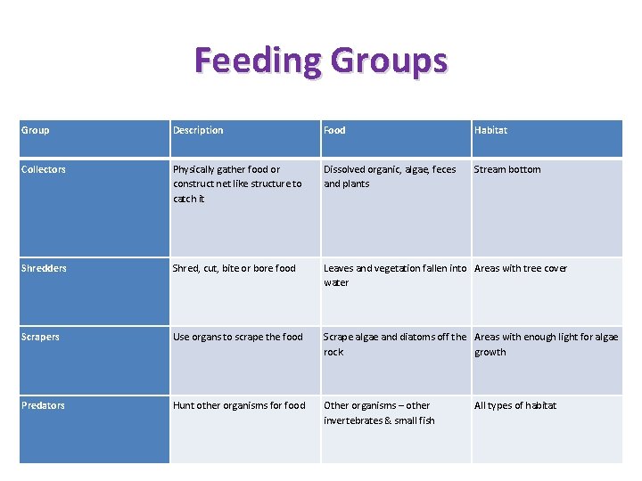 Feeding Groups Group Description Food Habitat Collectors Physically gather food or construct net like