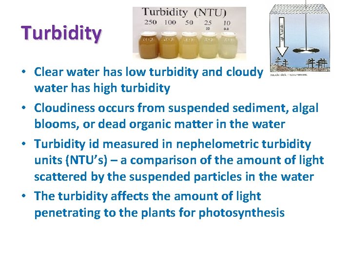 Turbidity • Clear water has low turbidity and cloudy or murky water has high