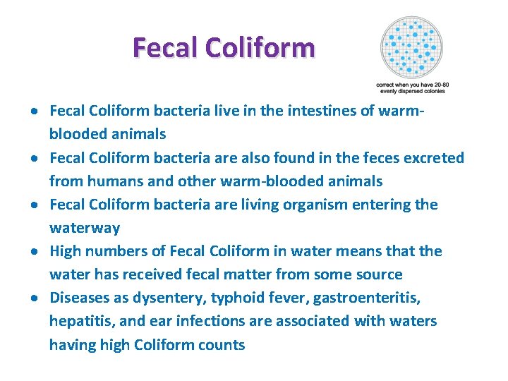 Fecal Coliform bacteria live in the intestines of warmblooded animals Fecal Coliform bacteria are